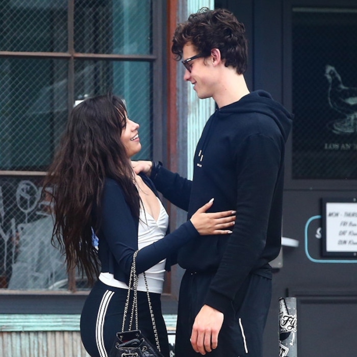 Image result for shawn mendes and camila cabello